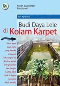Budi daya lele di kolam karpet