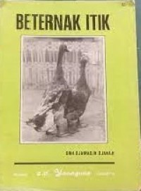 Beternak itik