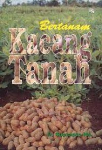 Bertanam Kacang  Tanah
