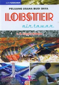 Peluang usaha budi daya lobster air tawar