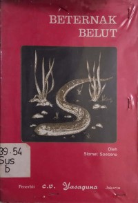 Beternak Belut