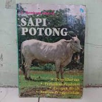 Sapi Potong