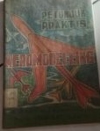 Petunjuk Praktis Aeromodelling