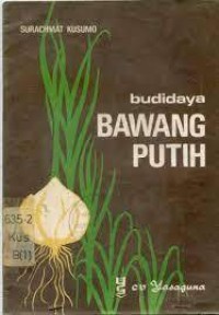 Budidaya Bawang Putih