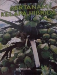 Bertanam Kelapa Hibrida
