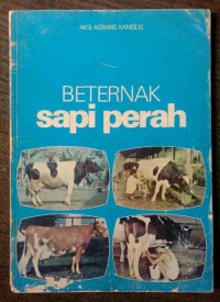 Beternak Sapi Perah